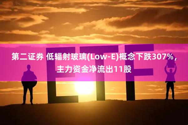 第二证券 低辐射玻璃(Low-E)概念下跌307%，主力资金净流出11股