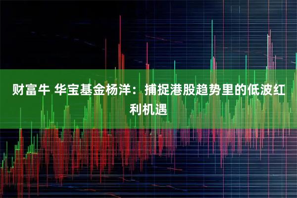 财富牛 华宝基金杨洋：捕捉港股趋势里的低波红利机遇