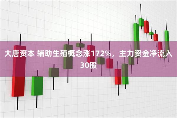大唐资本 辅助生殖概念涨172%，主力资金净流入30股