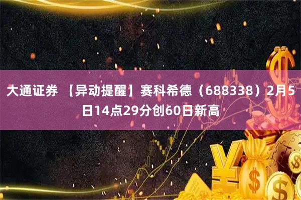 大通证券 【异动提醒】赛科希德（688338）2月5日14点29分创60日新高