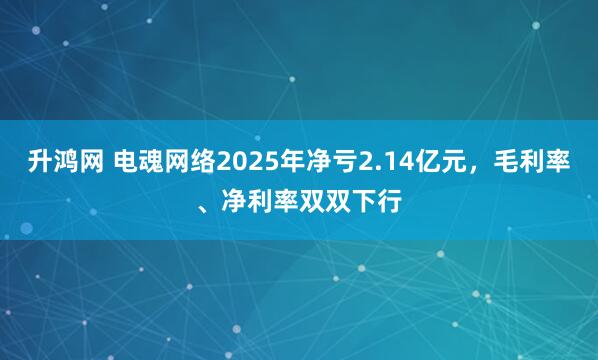 升鸿网 电魂网络2025年净亏2.14亿元，毛利率、净利率双双下行