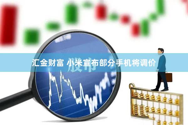 汇金财富 小米宣布部分手机将调价