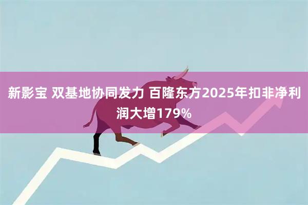 新影宝 双基地协同发力 百隆东方2025年扣非净利润大增179%