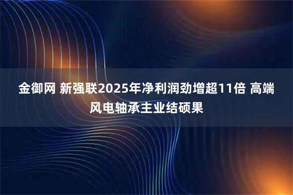 金御网 新强联2025年净利润劲增超11倍 高端风电轴承主业结硕果